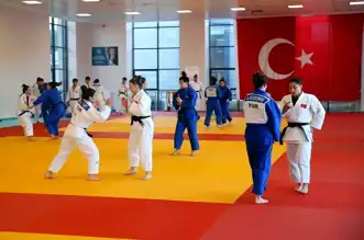 Judo Milli Takımı, 2028 Los Angeles Olimpiyatlarına Kastamonu'da Hazırlık Yapıyor